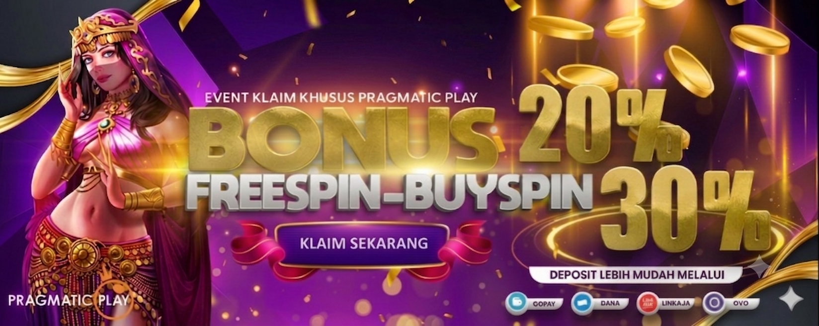 Promo Banner