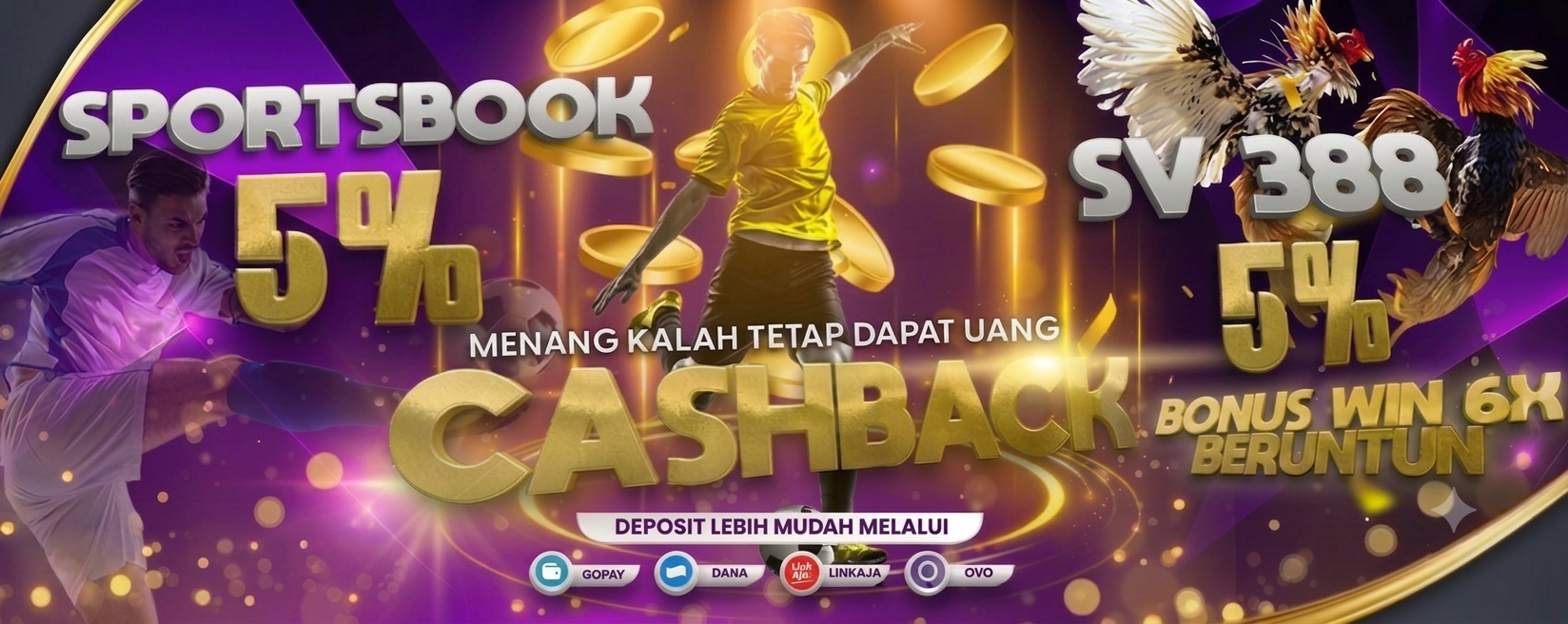 Promo Banner